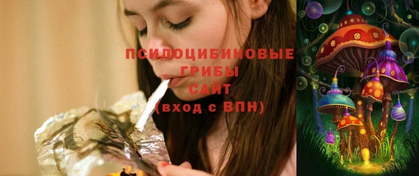 ECSTASY Гусиноозёрск