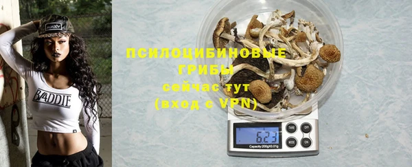 ECSTASY Гусиноозёрск