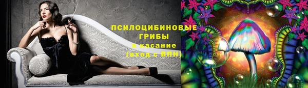 COCAINE Гусь-Хрустальный