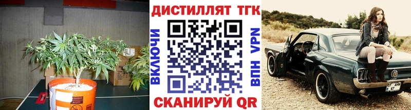 маркетплейс телеграм  Мценск  ТГК концентрат 