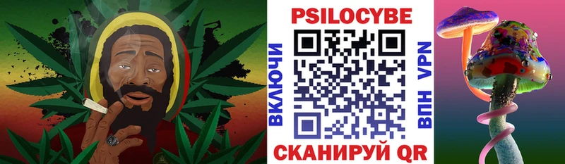 Псилоцибиновые грибы Psilocybine cubensis  Мценск 
