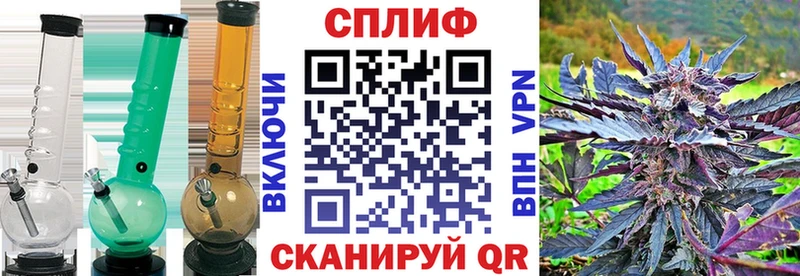 где продают наркотики Мценск Каннабис гибрид